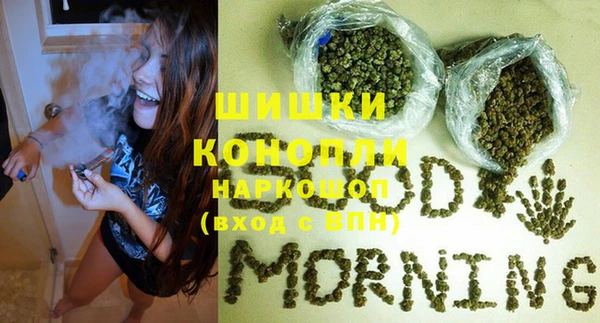 крисы Мегион