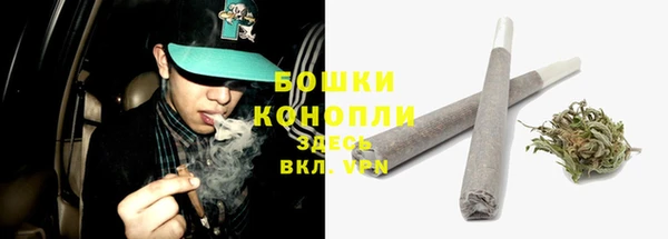 крисы Мегион