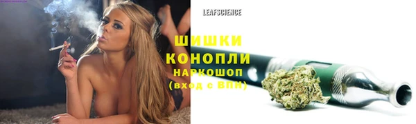 крисы Мегион