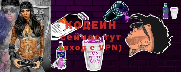 крисы Мегион