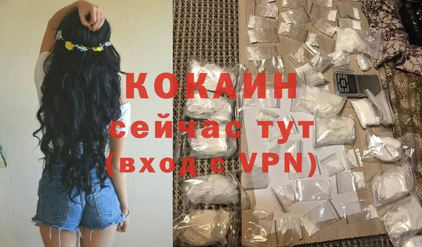 крисы Магас