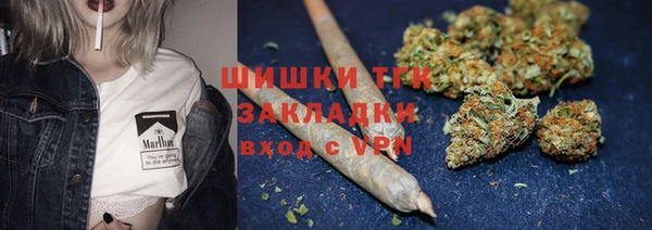 амф Краснослободск