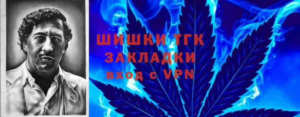 крисы Магас