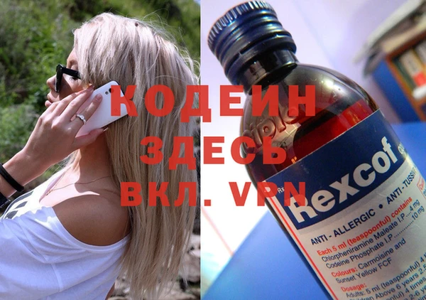крисы Мегион