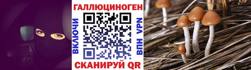 Псилоцибиновые грибы Psilocybe  Усть-Илимск 