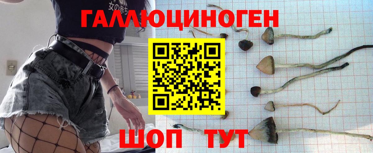 Усть-Илимск  Галлюциногенные грибы MAGIC MUSHROOMS  Вход с VPN  Псилоцибиновые грибы мицелий 